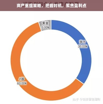 资产重组策略，把握时机，聚焦盈利点