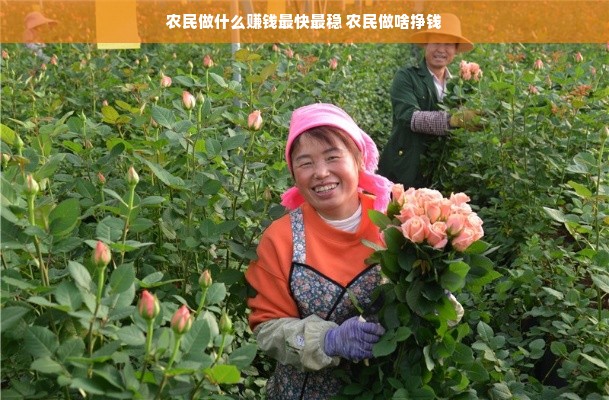 农民做什么赚钱最快最稳 农民做啥挣钱
