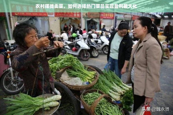 农村摆摊卖菜，如何选择热门菜品实现盈利最大化