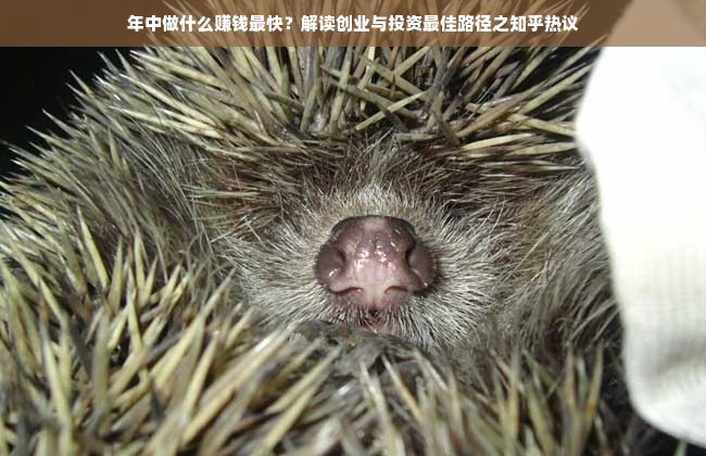 小众化妆品品牌，独特魅力的绽放与市场竞争的挑战