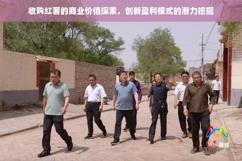 收购红薯的商业价值探索，创新盈利模式的潜力挖掘