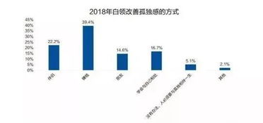 青岛白领的赚钱之路，探索高收入行业的多元路径