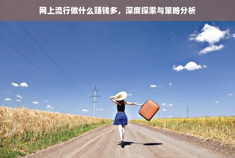 网上流行做什么赚钱多，深度探索与策略分析