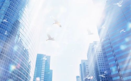 鹿优选先享卡额度兑现，鹿优选一半额度是多少？