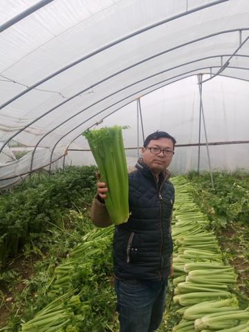 现阶段最快速赚钱的途径探索与策略分析