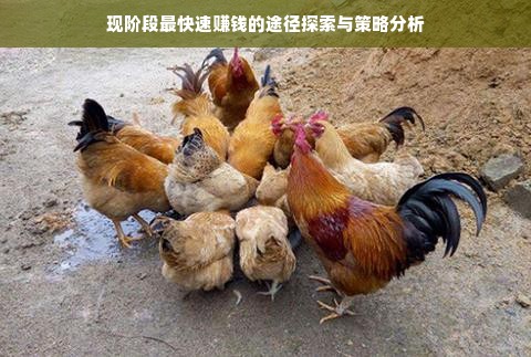 现阶段最快速赚钱的途径探索与策略分析