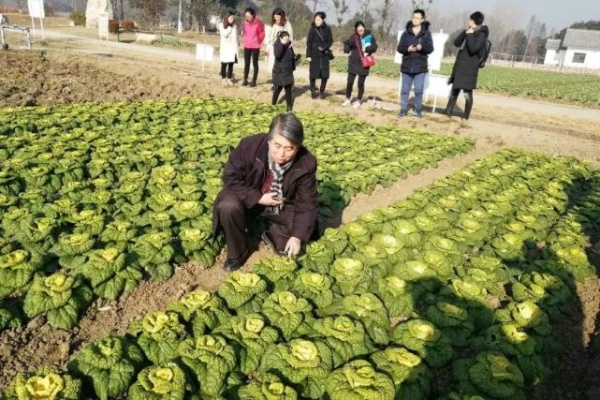 鹿优选先享卡额度兑现，鹿优选一半额度是多少？