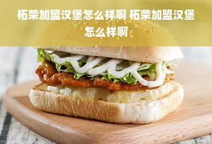 柘荣加盟汉堡怎么样啊 柘荣加盟汉堡怎么样啊