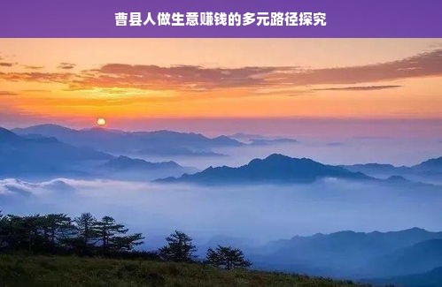 曹县人做生意赚钱的多元路径探究