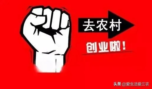 农村低成本创业的百元商业方案——低成本就能高效赚钱的探究