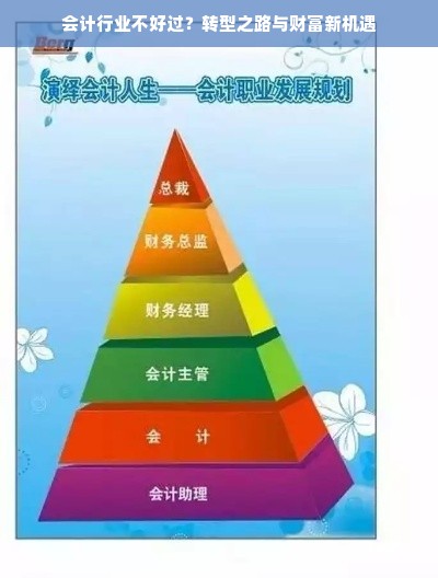 探寻小众茶叶的宝藏品牌，品味独特，尽在这一篇！