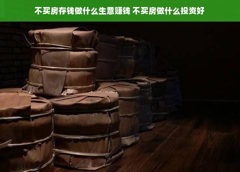 不买房存钱做什么生意赚钱 不买房做什么投资好
