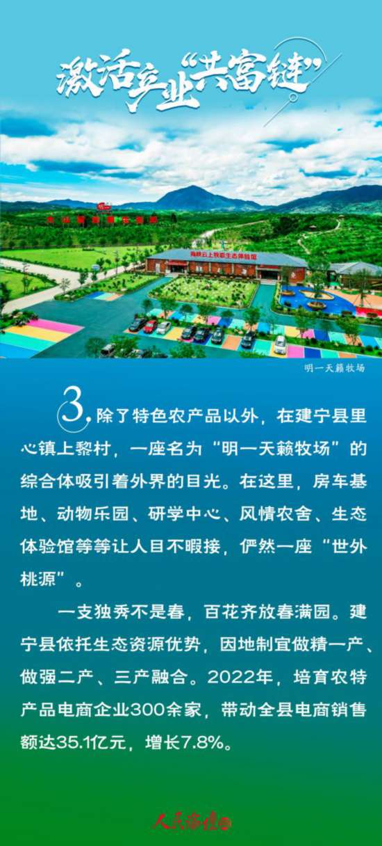 河北农村致富路径探讨，如何捕捉新时代的财富机会