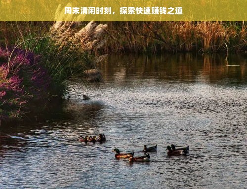 周末清闲时刻，探索快速赚钱之道