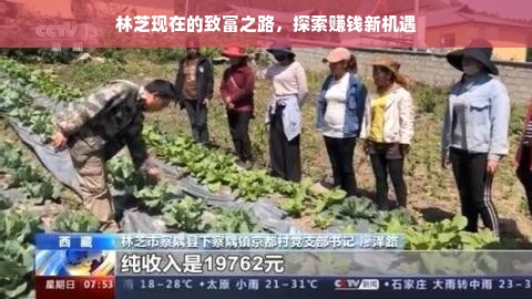 林芝现在的致富之路，探索赚钱新机遇