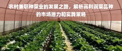 农村兼职种菜业的发展之路，解析高利润菜品种的市场潜力和实践策略
