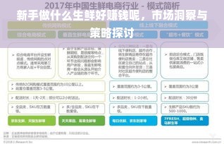 新手做什么生鲜好赚钱呢，市场洞察与策略探讨