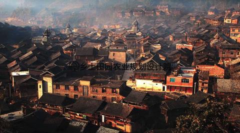 新农民如何抓住机遇实现盈利，创业与增收的新路径探索