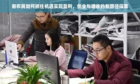 新农民如何抓住机遇实现盈利，创业与增收的新路径探索