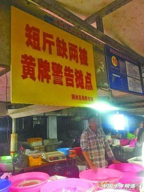羊小咩便荔卡提现全攻略，50元额度如何操作？附详细解析与避坑指南