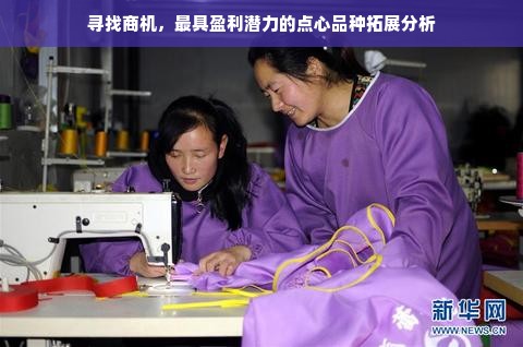 寻找商机，最具盈利潜力的点心品种拓展分析