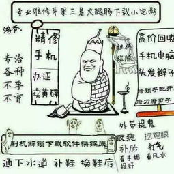 分期乐套出来能秒到账吗？深度解析背后的真相与细节