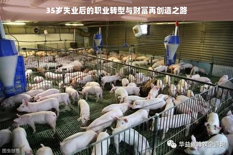 35岁失业后的职业转型与财富再创造之路