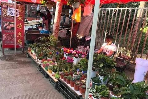 蓝莓果早教幼小加盟费详解，从入门到运营的全攻略