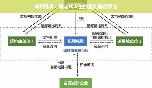 浙江板材品牌全解析，从传统老牌到创新黑马，这些品牌值得你了解！