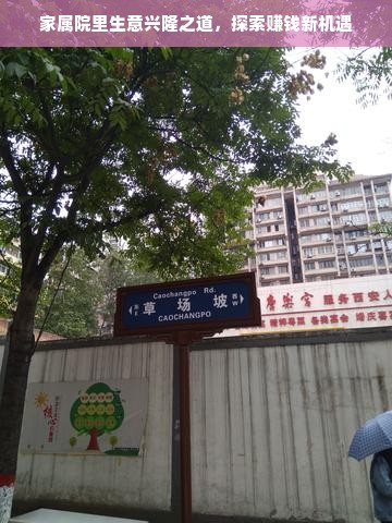家属院里生意兴隆之道，探索赚钱新机遇