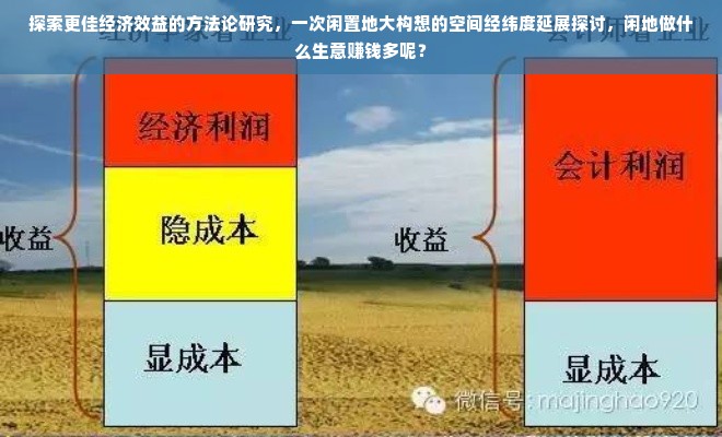 探索更佳经济效益的方法论研究，一次闲置地大构想的空间经纬度延展探讨，闲地做什么生意赚钱多呢？
