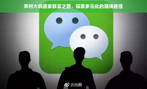 农村大妈居家致富之路，探索多元化的赚钱途径