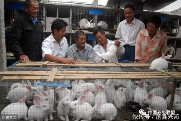 传承与创新，那些历久弥新的餐饮品牌名