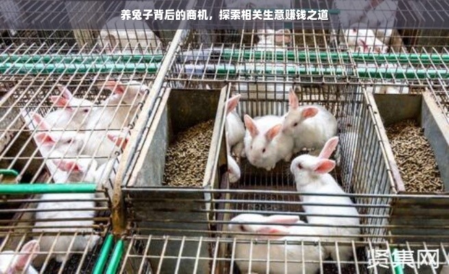 MCD医药品牌深度解析