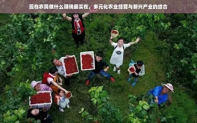 抖音月付额度怎么套出来？抖音月付一般多久涨额度？