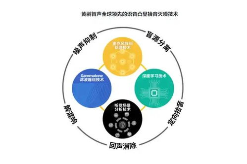 个人电台，声音创业的新领域与赚钱途径探索