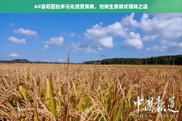 60亩稻田的多元化经营策略，创新生意模式赚钱之道