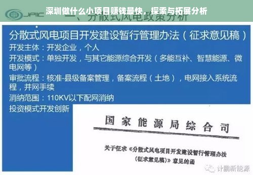深圳做什么小项目赚钱最快，探索与拓展分析