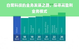 白鹭科技的业务发展之路，探寻高盈利业务模式