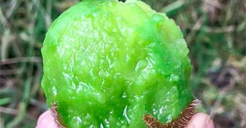 宜昌全网推广策略，把握机遇，探索高效盈利途径