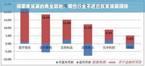 探索柬埔寨的商业禁地，哪些行业不适合在柬埔寨赚钱