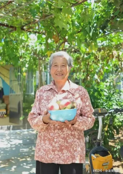 94岁奶奶的多彩岁月，岁月流转中的工作与赚钱之道