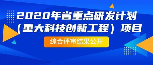 学校如何开展快速赚钱项目，创新与实效的完美结合