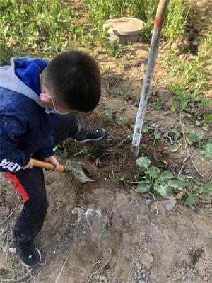疫情之下哪些行业孕育商机与财富之路