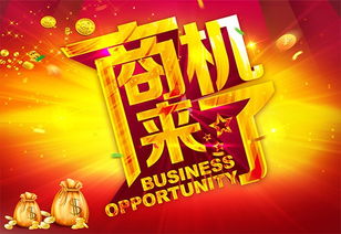 淘小铺创业之路，探寻热门商机与盈利之道