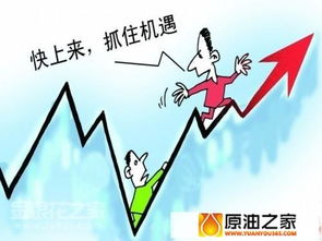 亲亲袋鼠早教加盟条件全解析