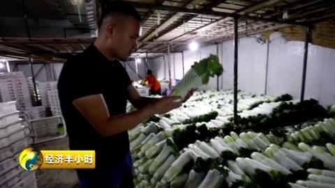 蔬菜市场商机无限，做什么能赚得满满财路