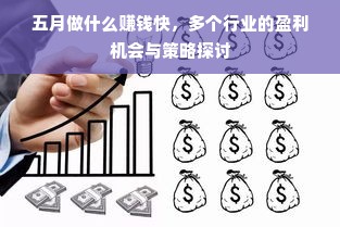 五月做什么赚钱快，多个行业的盈利机会与策略探讨