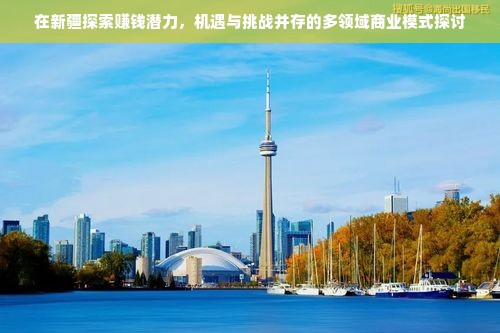 在新疆探索赚钱潜力，机遇与挑战并存的多领域商业模式探讨