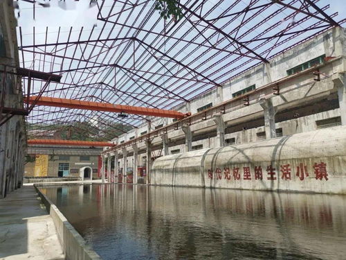 鹿优选额度大揭秘，从新手小白到额度王者的进阶指南